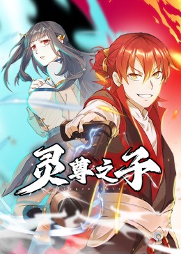 电视剧 野鸭子